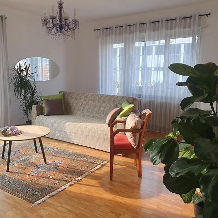 Charming Penthouse Near Como Lake Chiasso Exteriör bild
