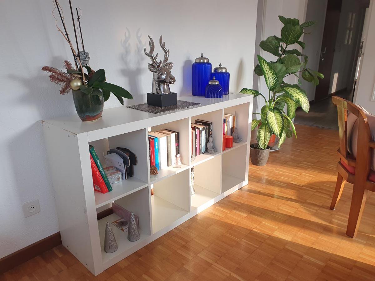 Charming Penthouse Near Como Lake Chiasso Exteriör bild
